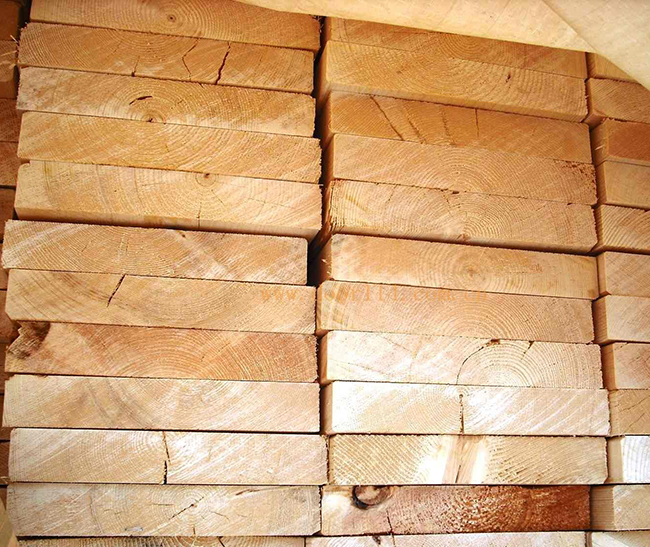 官渡智利辐射松方木